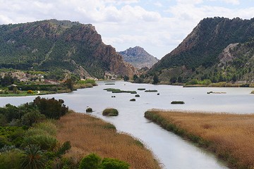 Mother Murcia's magical moments (1) - Van Dam Estates