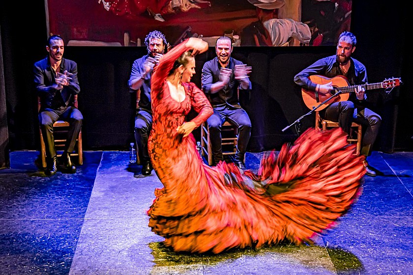 Flamenco: van walging naar nationale trots - Van Dam Estates