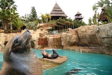 Parques combinados de agua y animales en Benidorm - Van Dam Estates