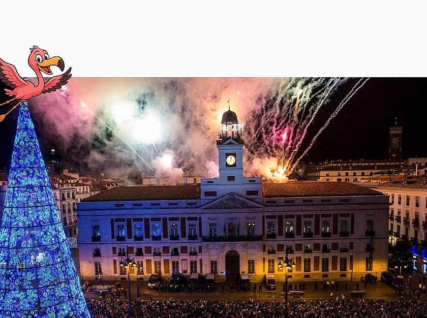 Frieda flutters into the new year - Van Dam Estates