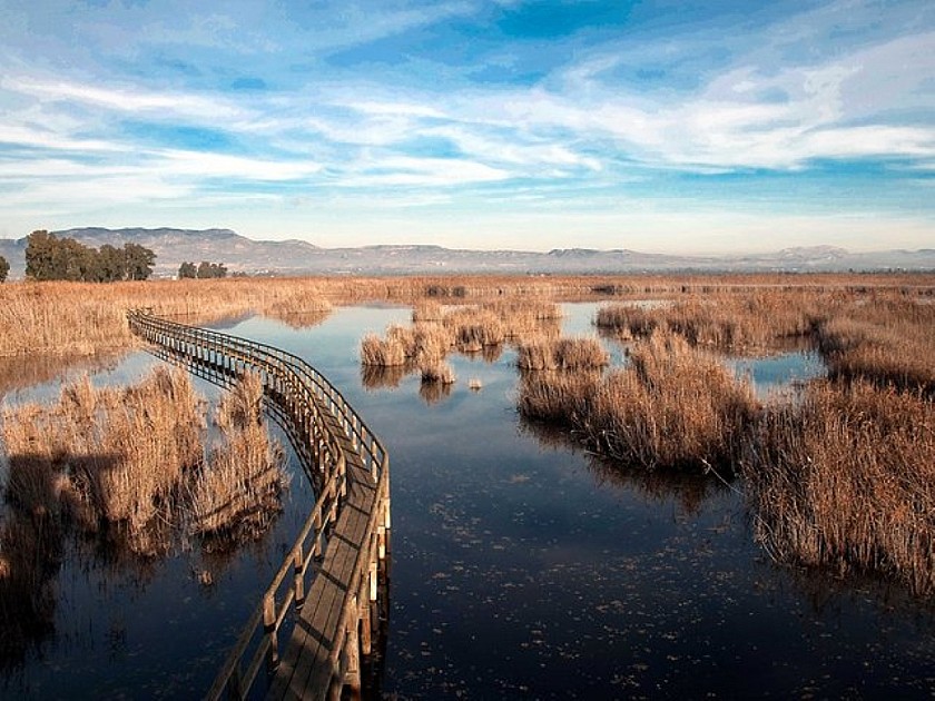 El Hondo's rijke natuur in watergebied - Van Dam Estates