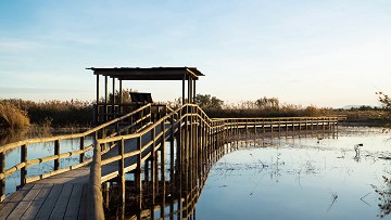 El Hondo's rijke natuur in watergebied - Van Dam Estates