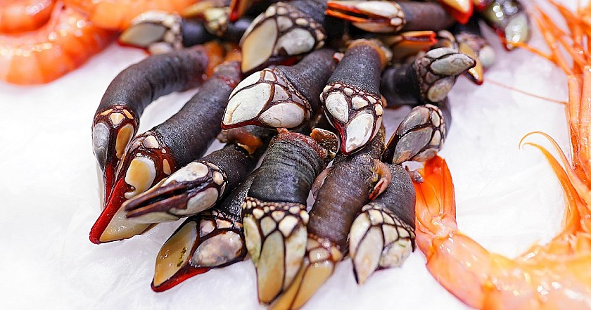 Percebes para una cena navideña opulenta - Van Dam Estates