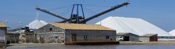 Salt production of Torrevieja and La Mata - Van Dam Estates