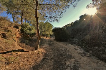 Caminando por rocas de arena irregulares - Van Dam Estates