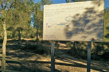 Auf gezackten Sandfelsen spazieren gehen - Van Dam Estates