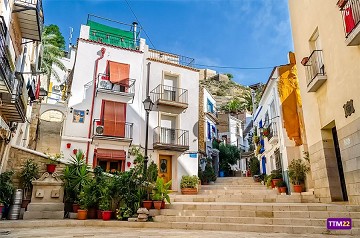 A la sombra del Castillo de Santa Bárbara - Van Dam Estates