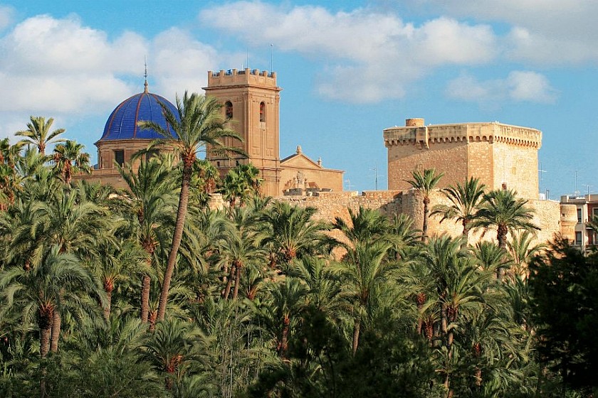 El Palmeral: A sea of palm trees in Elche - Van Dam Estates