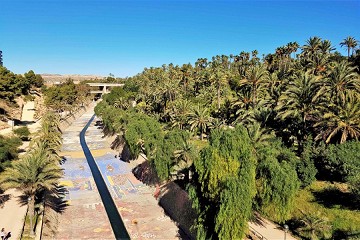 El Palmeral: A sea of palm trees in Elche - Van Dam Estates