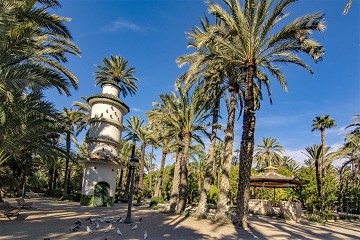 El Palmeral: Ein Palmenmeer in Elche - Van Dam Estates