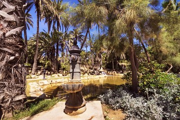 El Palmeral: Ein Palmenmeer in Elche - Van Dam Estates