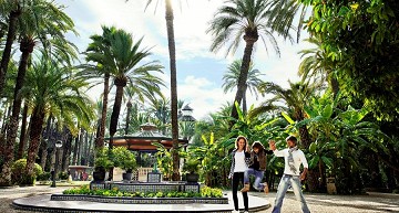 El Palmeral: Ein Palmenmeer in Elche - Van Dam Estates