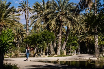 El Palmeral: Ein Palmenmeer in Elche - Van Dam Estates