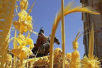 El Palmeral: Un mar de palmeras en Elche - Van Dam Estates