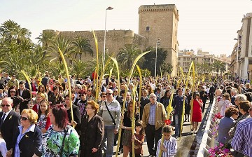 El Palmeral: Un mar de palmeras en Elche - Van Dam Estates