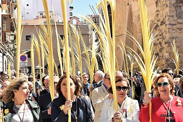 El Palmeral: A sea of palm trees in Elche - Van Dam Estates