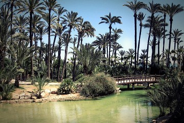 El Palmeral: Ein Palmenmeer in Elche - Van Dam Estates