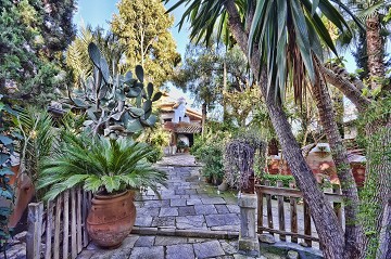 Moroccan Oasis in Crevillentes Campo - Van Dam Estates