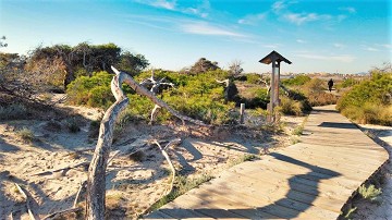 Un recorrido por las Salinas en San Pedro - Van Dam Estates