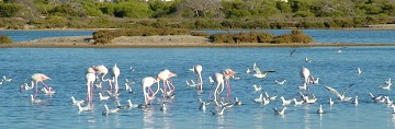 A tour along the Salinas in San Pedro - Van Dam Estates