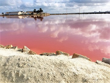 Eine Tour entlang der Salinas in San Pedro - Van Dam Estates