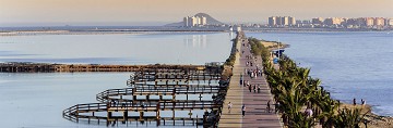 Un recorrido por las Salinas en San Pedro - Van Dam Estates