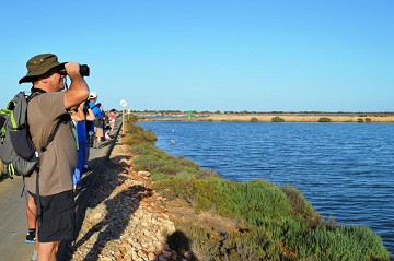 Eine Tour entlang der Salinas in San Pedro - Van Dam Estates