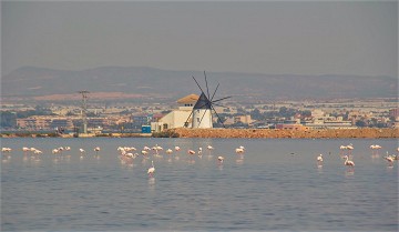 Un recorrido por las Salinas en San Pedro - Van Dam Estates