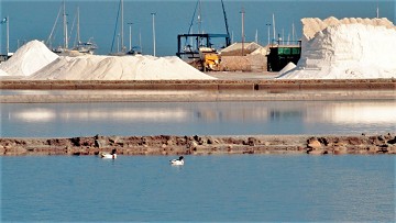 Un recorrido por las Salinas en San Pedro - Van Dam Estates