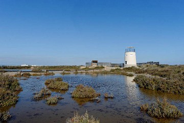 A tour along the Salinas in San Pedro - Van Dam Estates