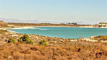 Ciclismo por hermosas aguas - Van Dam Estates