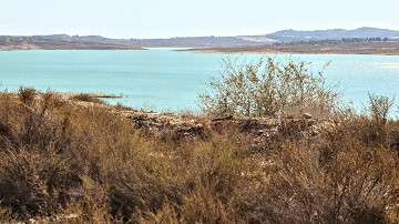 Cycling along beautiful waters - Van Dam Estates