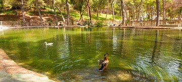 Un día tranquilo en Guardamar - Van Dam Estates