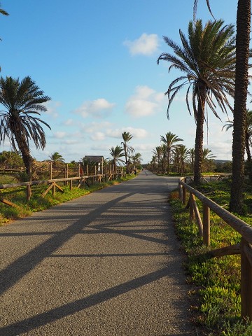 Een rustig dagje in Guardamar - Van Dam Estates