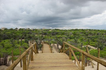 A quiet day in Guardamar - Van Dam Estates