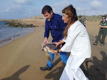 Murcia bajo el hechizo de las crías de tortugas marinas - Van Dam Estates