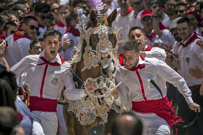 Strange Festivities 2: Running with 'wine horses' in Caravaca - Van Dam Estates
