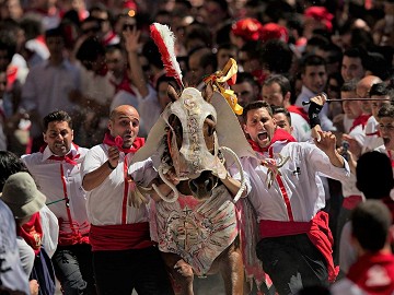 Strange Festivities 2: Running with 'wine horses' in Caravaca - Van Dam Estates