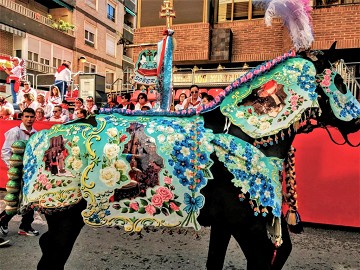 Vreemde feesten 2: Hollen met 'wijnpaarden' in Caravaca - Van Dam Estates