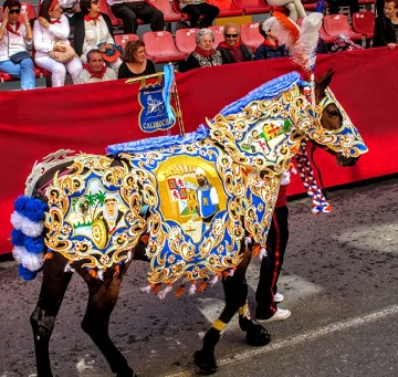 Strange Festivities 2: Running with 'wine horses' in Caravaca - Van Dam Estates