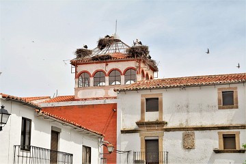 Saludos desde el pueblo de las cigüeñas - Van Dam Estates