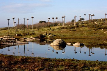 Grüße aus dem Storchendorf - Van Dam Estates