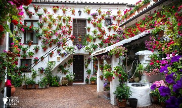 Córdoba the pride of UNESCO - Van Dam Estates