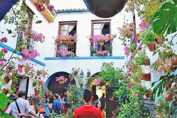 Onderweg in Spanje 1: Córdoba de trots van UNESCO - Van Dam Estates