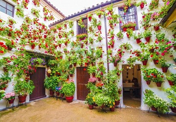 Córdoba the pride of UNESCO - Van Dam Estates