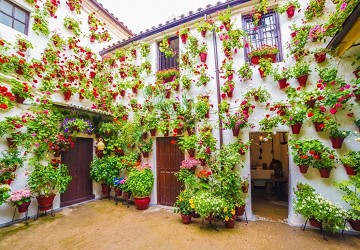 On the road in Spain 1: Córdoba the pride of UNESCO - Van Dam Estates