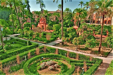 Córdoba the pride of UNESCO - Van Dam Estates