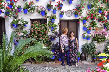 Córdoba the pride of UNESCO - Van Dam Estates