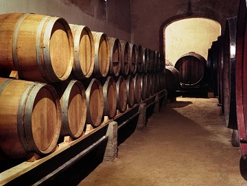 Jumilla wine tour with a choice of 15 bodegas - Van Dam Estates