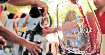 Jumilla Weintour mit einer Auswahl von 15 Bodegas - Van Dam Estates